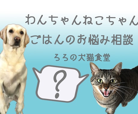 わんちゃんねこちゃんのごはんの相談を受け付けます 獣医師兼ペット栄養管理士にごはんのお悩みをご相談ください イメージ1