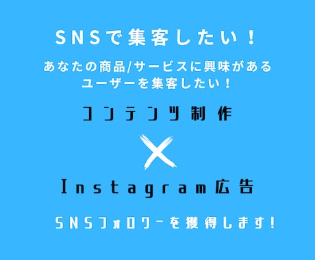 実績多数インスタ1万人フォロワー獲得運用代行します コンテンツ制作×広告運用でインスタフォロワー増やします！ イメージ2