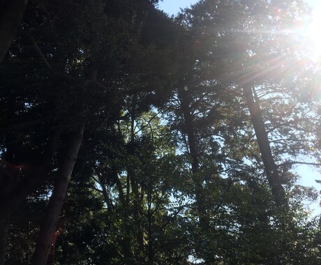 身体の不調から貴方へ伝えたいことをメッセージします どこか不調や気になるところがある方チャネリングします イメージ1