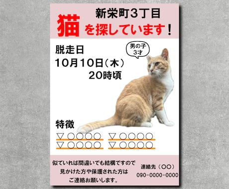 迷い猫・迷い犬の捜索チラシ制作します チラシの印刷も即日対応可能!! イメージ1