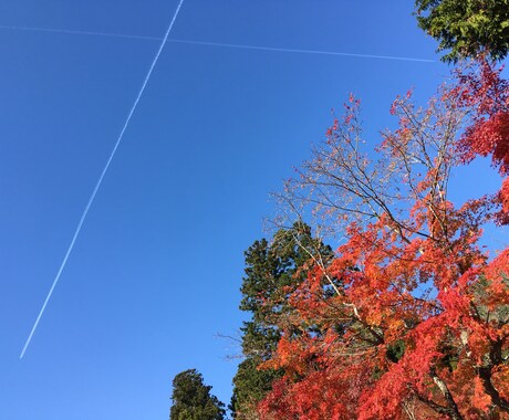 東京周辺の写真を撮影代行いたします イメージ1