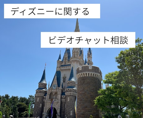 テーマパークの相談のります 【ディズニー相談】☆ビデオorテキスト イメージ1