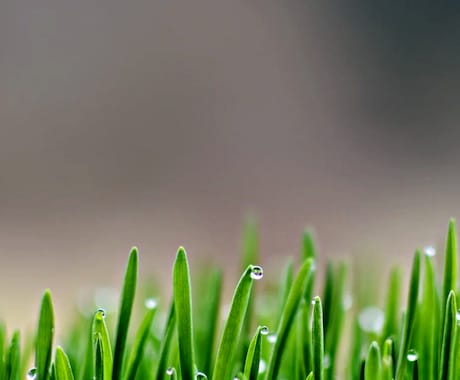 ひとこと鑑定▶気になる事へアドバイスを致します 【1回500円】▶200文字以内でライトにお届けします⭕️ イメージ1