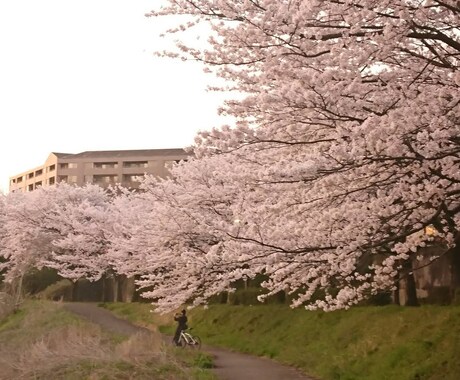 何でも日常のお悩みお聞きします 気楽にお話ししてもらえたらうれしいです イメージ1