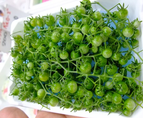 野菜のことならソムリエに イメージ2