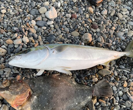 キャスト性能向上とサーフでの魚の釣り方を教えます 周りと差をつけるキャスト、よりキャッチ率を上げる考え方 イメージ2