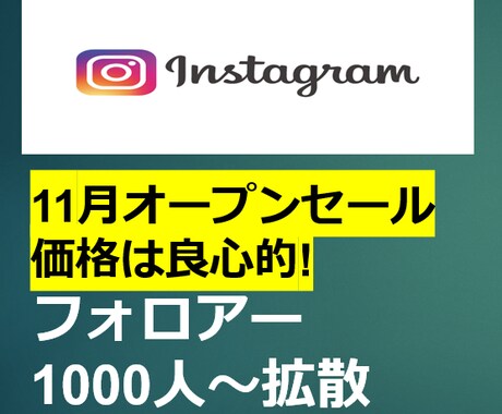 インスタのフォロワー1000人増加します オープンセール特別価格実施中！11月限定サービス付き イメージ1