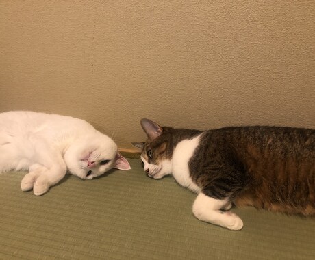 精神科の視点で、愚痴をお聞きします 愚痴を聞くだけ、希望があれば助言いたします。 イメージ1