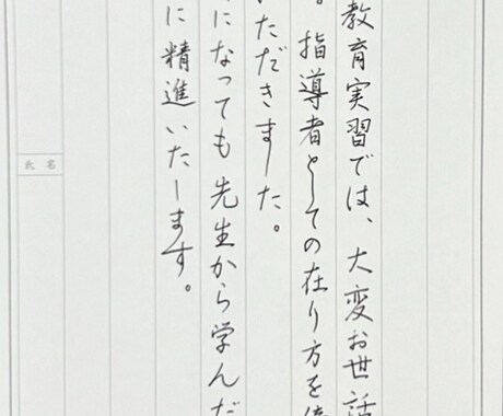 様々なジャンルの代筆に対応させていただきます プロの書道家が丁寧に代筆いたします。 イメージ2