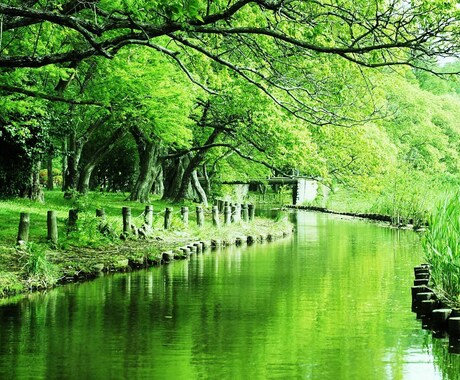 当たる　を超える！！最も歴史のある占星術ができます 古代中国、日本トップが人材登用に活用した門外不出の占い。健康 イメージ1