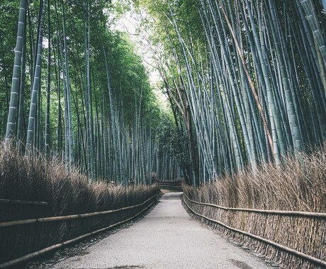 あなたの悩みや不安をじっくりお聞きします 人間関係や育児の悩みなど、なんでもお聞きしますよ イメージ1