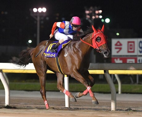 地方競馬、本日の推奨馬を教えます 南関東競馬に特化した本日の推奨馬の一覧になります。 イメージ1