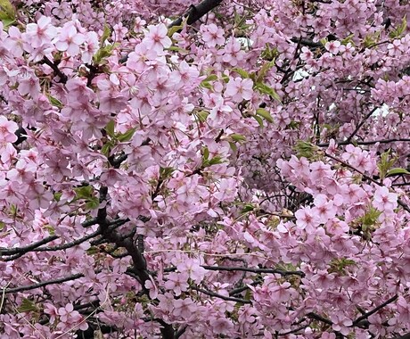 心から困ってるあなたを元気にします 心の底から困ってる方を元気にしたいと願っています イメージ1