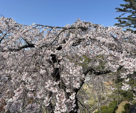 あなたのお悩み聞きます なんでも大丈夫です。お悩みに限らず、お話ください。 イメージ1