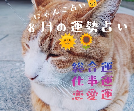 にゃんこ占いでみる8月の運勢＊ほっこり占います 心がふっと軽くなるような、8月の運勢をお届けするにゃよ イメージ1