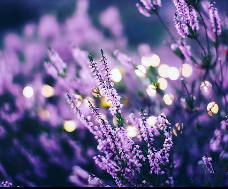 ズバリ☆どうしても復縁したい！を鑑定させて頂きます ベテラン占い師☆既読スルーの本音・浮気？他に誰かいるかを鑑定 イメージ1