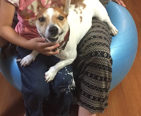 初出品！！犬を飼う魅力を伝えます はじめて犬を飼うことを考えている方へ イメージ1