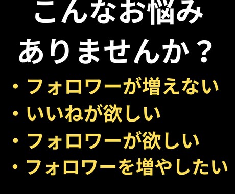Instagramフォロワー＋5000人増やします 高品質フォロワー、減少保証付き イメージ2