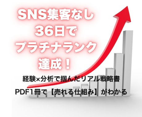 36日でプラチナ達成！リアル戦略書をお届けします 経験×分析で掴んだ“最短ルート”を1冊に凝縮☘️ イメージ1