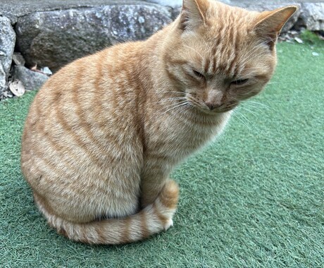 何でも話して下さい！聞いて欲しい気持ち受け止めます 誰にも言えない気持ち、気軽にお話しください！ イメージ1