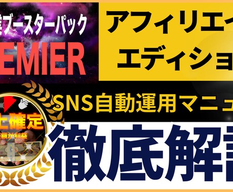 SNS自動化アフィリエイトの仕組みを構築できます アフィリエイト＋SNS自動運用マニュアル イメージ1