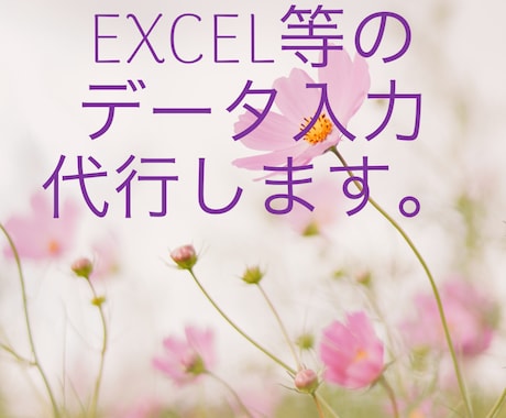 EXCEL等のデータ入力を代行します イメージ1