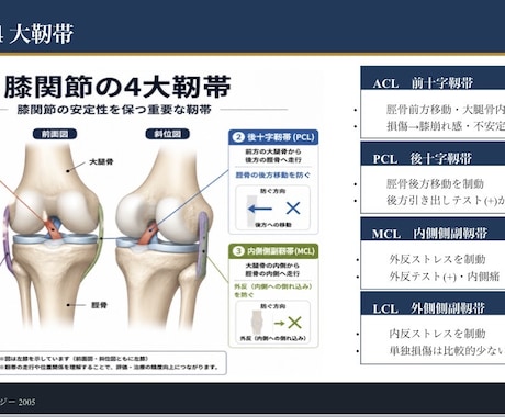 整形外科PT歴9年勉強会院内研修スライド作成します 整形外科理学療法士｜膝関節専門・勉強会講師 イメージ1