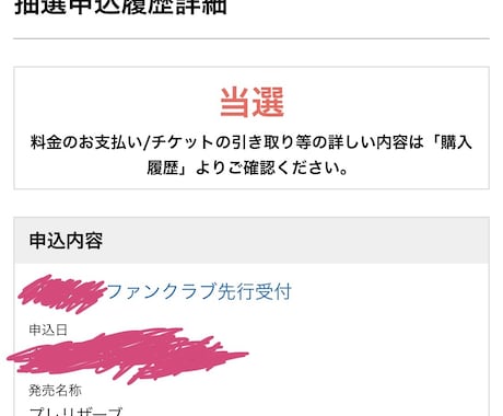 チケット先行予約・抽選申し込み・購入お手伝いします コンサートチケットや舞台、映画の初日舞台挨拶等に イメージ2