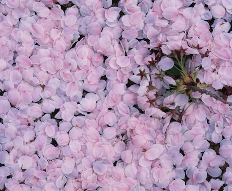 表現写真撮影！意思の写し方教えます 写真好きな方！主張写真、意思が解る作品を創作しよう！ イメージ1