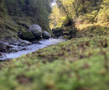 姓名から霊視する融合判断をします 見えたままを正直にお伝えします。参考になれば幸いです。 イメージ2