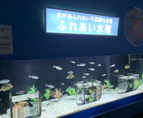 秋田、岩手、青森の水族館写真、動画撮影します 遠方でなかなか行けない方必見！ イメージ2