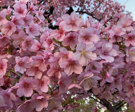 何でも、お話お聞きします 何でもお話聞きます相談に乗れれば幸せです宜しくお願いします イメージ1