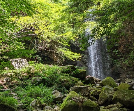 大切な方を亡くした気持ち、聞きます ぽっかり空いた心の穴、辛い気持ちをお持ちの方へ イメージ1