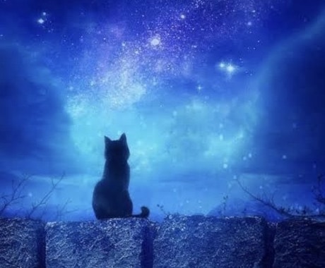 女性向け）復縁のお悩みを鑑定させていただきます 復縁の可能性はあるのか、どのように行動すればいいのかなど イメージ1