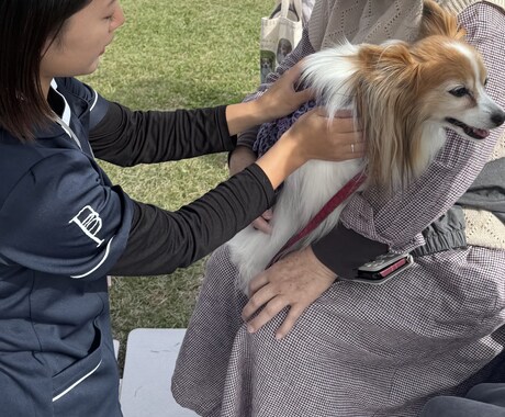 大切なその子と向き合う シニア期ケア相談をします その子のために頑張るあなたの、心を整える時間 イメージ2