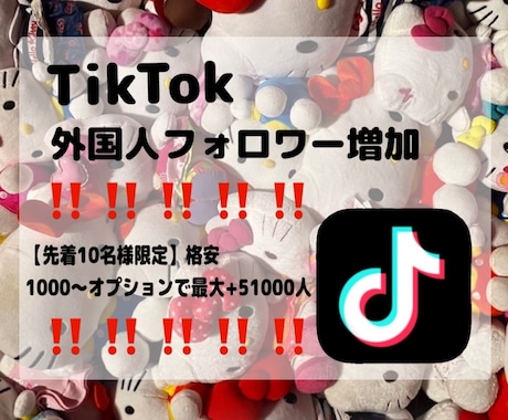 限定価格‼️Tiktokフォロワー増やします 実績作り✴︎格安✴︎Tiktokフォロワー増加✴︎即納 イメージ1