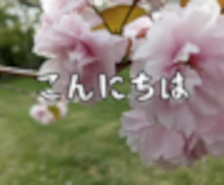 桜の写真LINEスタンプ作ります イメージ1