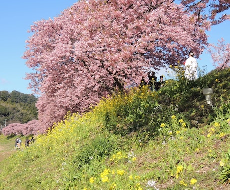あなただけの旅を演出します Japan Travel Planner イメージ1