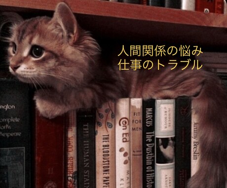 メッセージでご相談受け付けます ココナラお試し価格　3往復：1,500円 です！ イメージ1