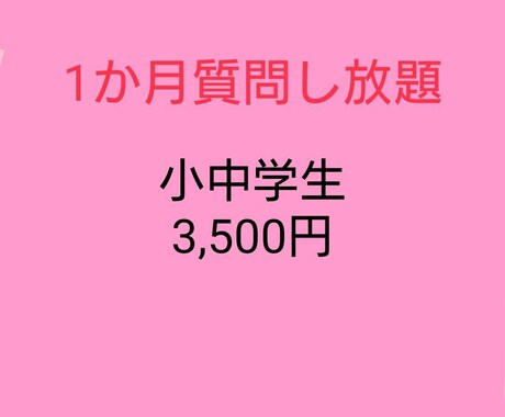 チャットで１か月質問し放題！丁寧に教えます 元教員、現プロ家庭教師が指導します。 イメージ1