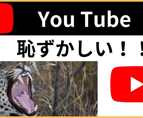 YouTube動画の編集します 【おもしろ動画～ビジネス動画まで】5000円～相談可 イメージ2