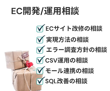 EC開発・改修・運用のお悩み相談に対応します どうしたらいいか分からない、合っているか不安な方 イメージ1