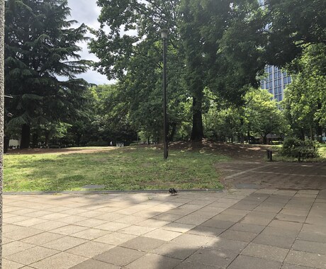 女子大生が【あなたのお話】お聞きします 愚痴や、お悩み、誰かとお話ししたい方へ イメージ1
