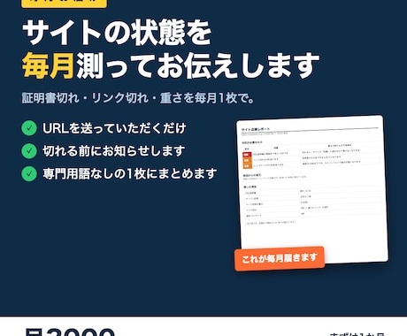 サイトの保守として毎月の点検を報告します 証明書切れ・リンク切れ・重さを毎月測って1枚で イメージ1