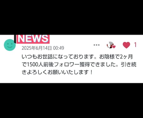 Xの成人男性&女性フォロワー増加ます X(Twitter)成人男性&女性アカウントを1か月拡散 イメージ2