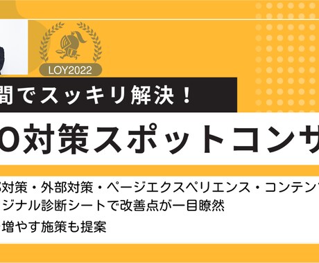 SEOのプロが検索1位を狙うSEO対策診断します オリジナルのSEO診断シートを利用して、サイトの改善点を提案 イメージ1