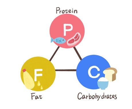 あなたが何をどのくらい食べたらいいか教えます 食事バランスを整える食べ物の選び方が分かる！！ イメージ2