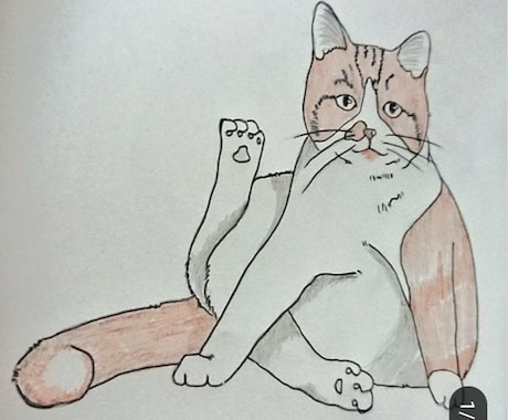 大切な家族である愛猫を描きます アナログイラストで水彩色鉛筆や筆ペンで描いていきます。＾＾* イメージ2