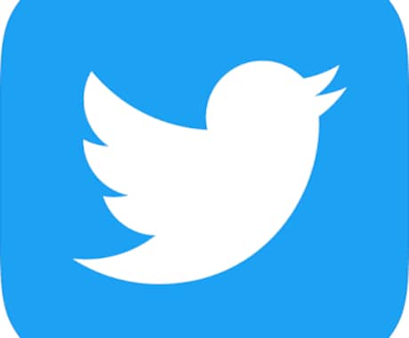 Twitterであなたの商品やサービスを宣伝します ツイッターの有名人を起用！本格的なアクセスを保証します イメージ1