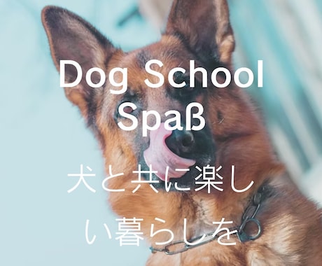 愛犬の「なんで！？」を一緒に解決します イメージ1